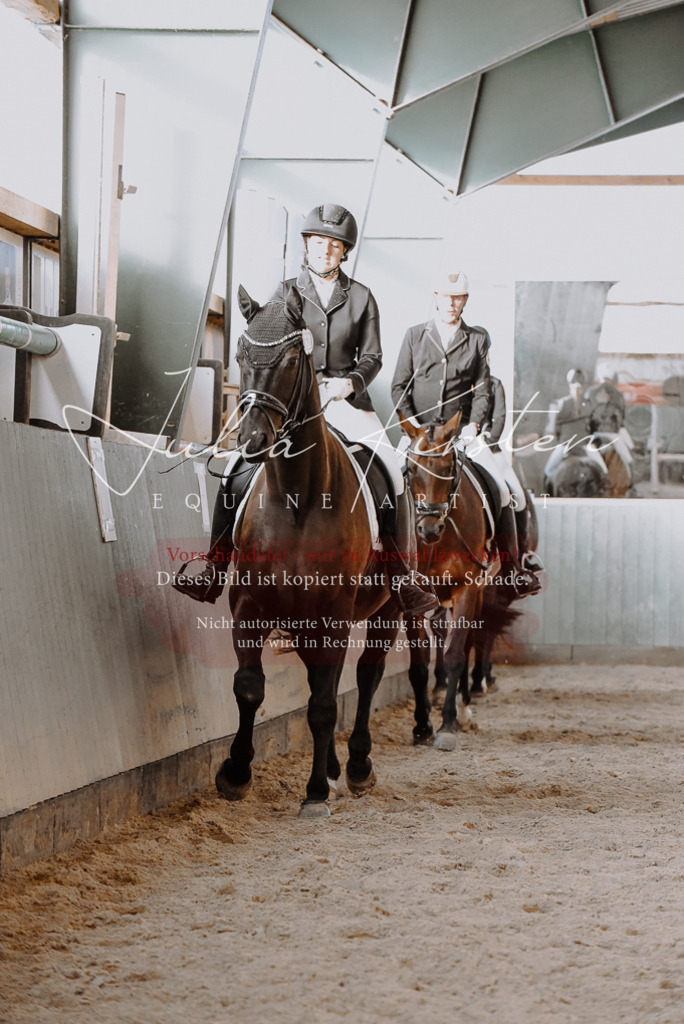 DSC_7571 | Pferde- und Turnierfotografie in Westsachsen. Pferdeportraits, Auftragszeichnungen und intuitive Kunst.