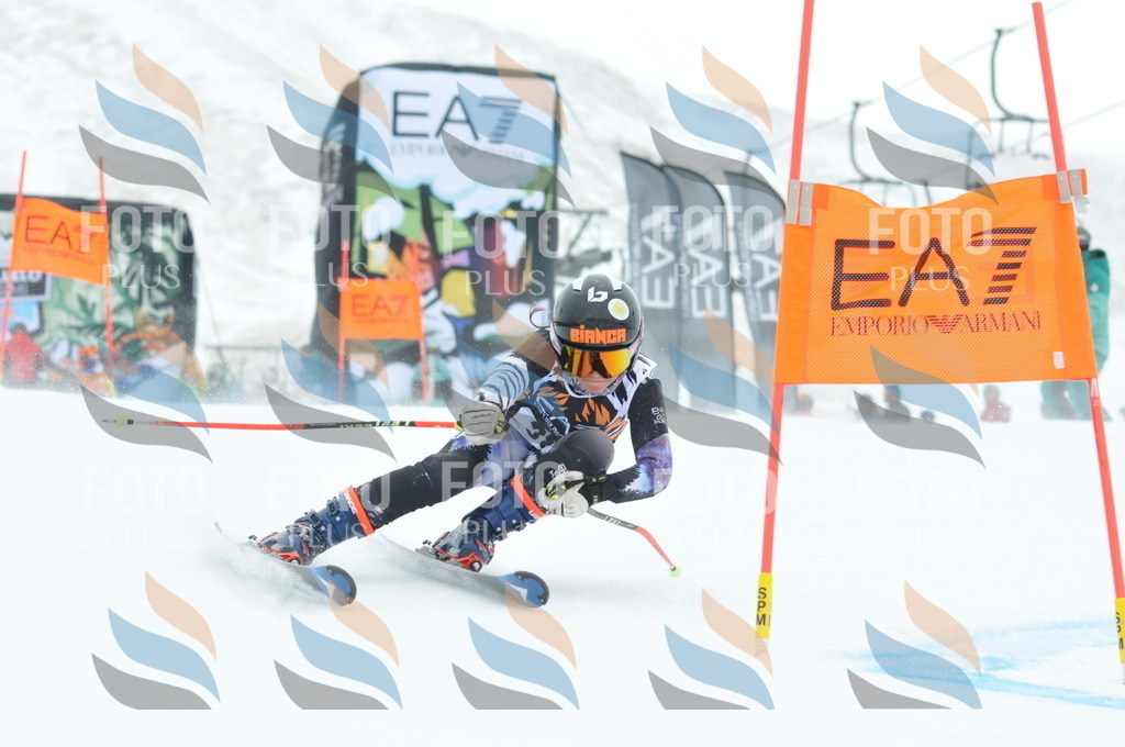 DSC_8804 | holidayphoto