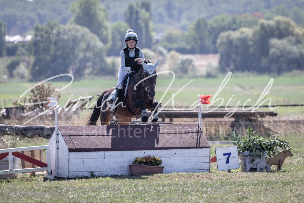 20260906-_3LI3448 | Tierfotografie Pferde, Hunde, Katzen, Haustiere.
Turnierfotografie Reitturniere, Reiten, Springreiten, Dressur in Hanau, dem Main-Kinzig-Kreis und dem Rhein-Main- Gebiet um Frankfurt