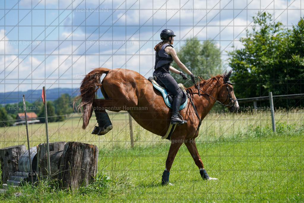 20240622-FAH06805 | Turnierfotografen Bayern, Reitsportbilder aus dem Geländekurs mit Felix Etzel auf dem Gut Waitzacker 2024