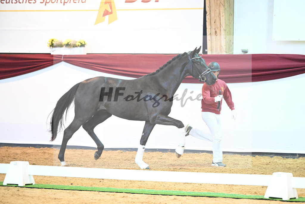 Kat-Nr. 25 v. Donier_Koch_66220245 | hf-fotografie - Realisiert mit Pictrs.com