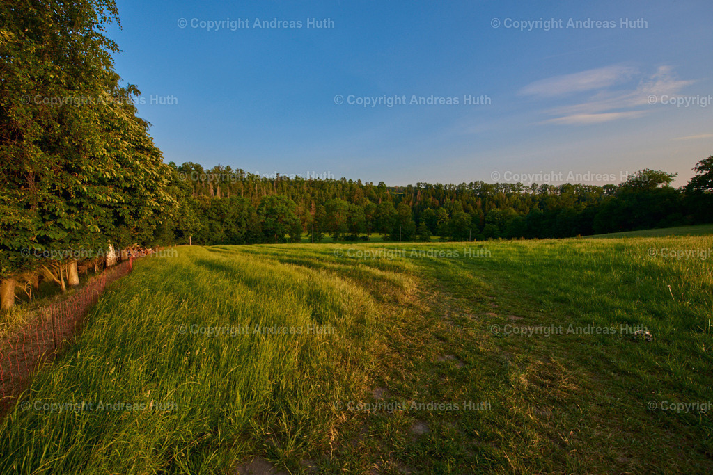 Im NSG Aumatal nahe der Prellmühle 07 | Bedeutsame Landschaften Deutschlands - Realisiert mit Pictrs.com