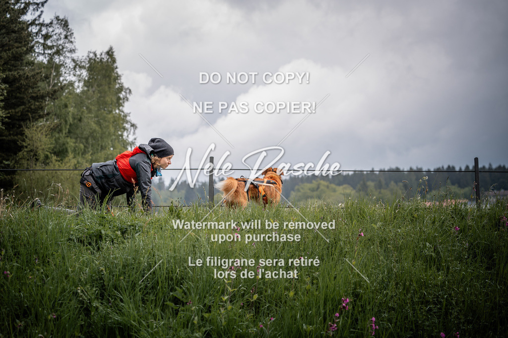 nelerasche_SoZieleinlauf_16 | nelerasche