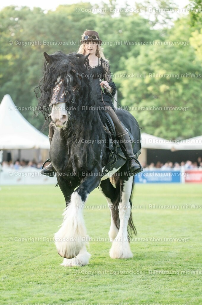 20230526_Pferdenacht_0312 | equistock