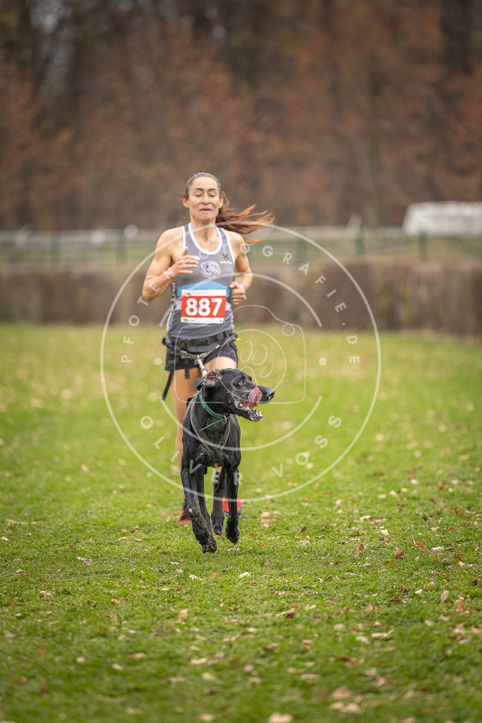 CaniXpix_DV3A6898 | Hundefotografie, Tierfotograf, Pfotenfotografie, Fotoshooting Hund, Hunde Portrait, Hundesport, Hundeportraits, Heideshooting, Hunde, Sportfotograf, Hundefotograf, Turnierhundsport, THS,  - Realisiert mit Pictrs.com