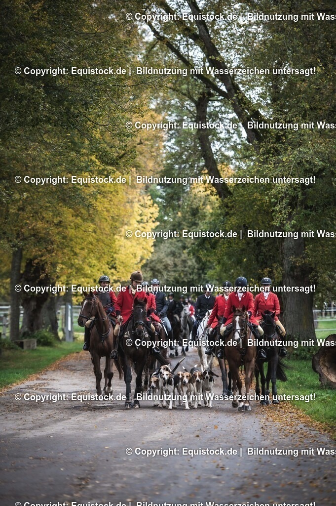 20241013_Jagd-Marbach_0485 | Foto: Thomas Hartig