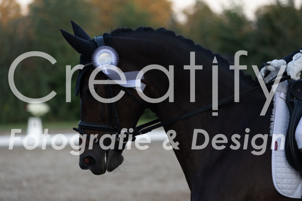 IMG_1997 | Creatify Fotografie