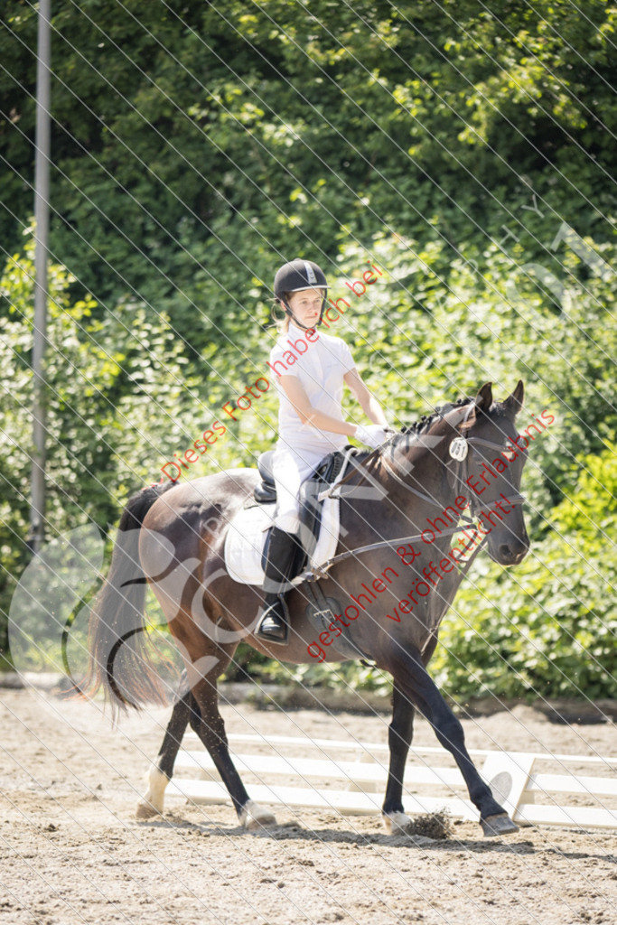 IMG_4551 | Sport-, Event- und Tierfotos in Profiqualität. Einfach auswählen, bestellen und herunterladen. Dein Moment – perfekt festgehalten.