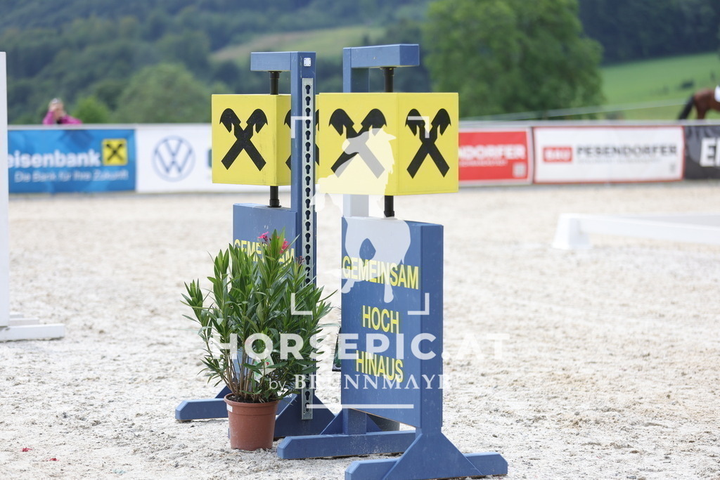 0P6A4430 | Willkommen bei Brunnmayr - Design & Fotografie – Ihrem Spezialisten für Reitturniere und Pferdeveranstaltungen in Oberösterreich, Salzburg und Bayern! Seit über 17 Jahren sind wir leidenschaftlich dabei.