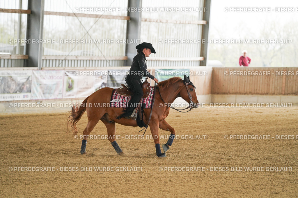 DSC06973 | Pferdegrafie