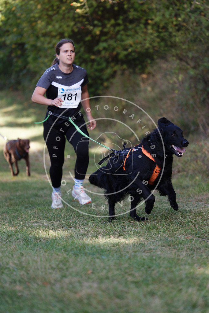 0L8A5608 | Hundefotografie, Tierfotograf, Pfotenfotografie, Fotoshooting Hund, Hunde Portrait, Hundesport, Hundeportraits, Heideshooting, Hunde, Sportfotograf, Hundefotograf, Turnierhundsport, THS,  - Realisiert mit Pictrs.com