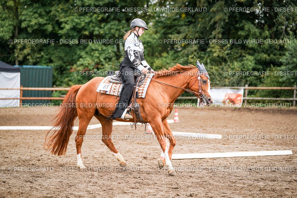 DSC04196 | Pferdegrafie