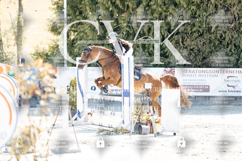 CK905190 | Turnierfotografie Pferdefotografie Trier Rheinland-Pfalz Pferdesport Reitsport Tierfotografie Sportfotografie Pferdevideo Pferdevideografie Equestrianvideography equestrianphotography  - Realisiert mit Pictrs.com
