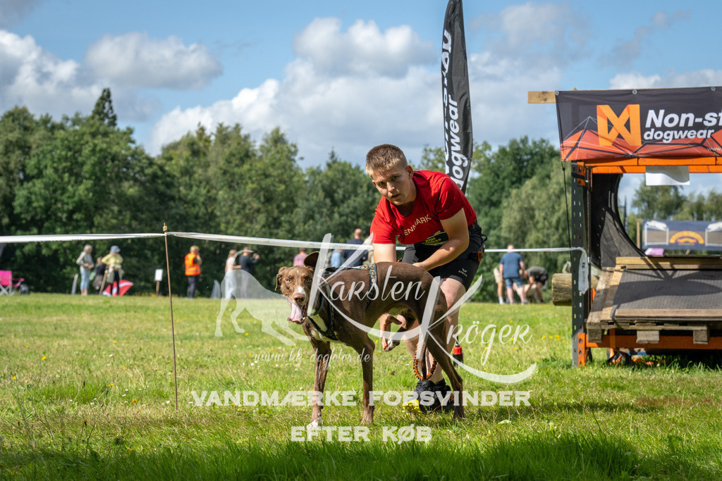 1533_ZZ93170 | kk-dogfotos