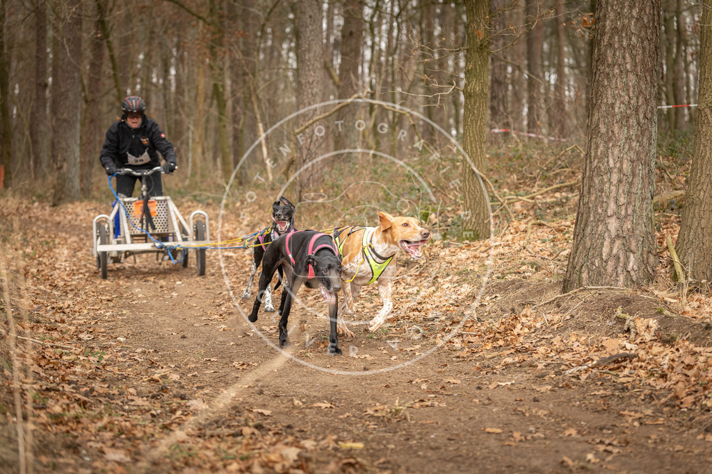 Pfotenfotografie_DV3A8810 | Hundefotografie, Tierfotograf, Pfotenfotografie, Fotoshooting Hund, Hunde Portrait, Hundesport, Hundeportraits, Heideshooting, Hunde, Sportfotograf, Hundefotograf, Turnierhundsport, THS,  - Realisiert mit Pictrs.com