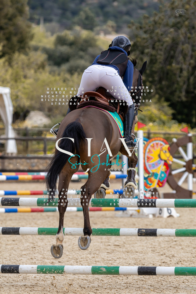 IMG_4786 | s-jay-photography - Realisiert mit Pictrs.com