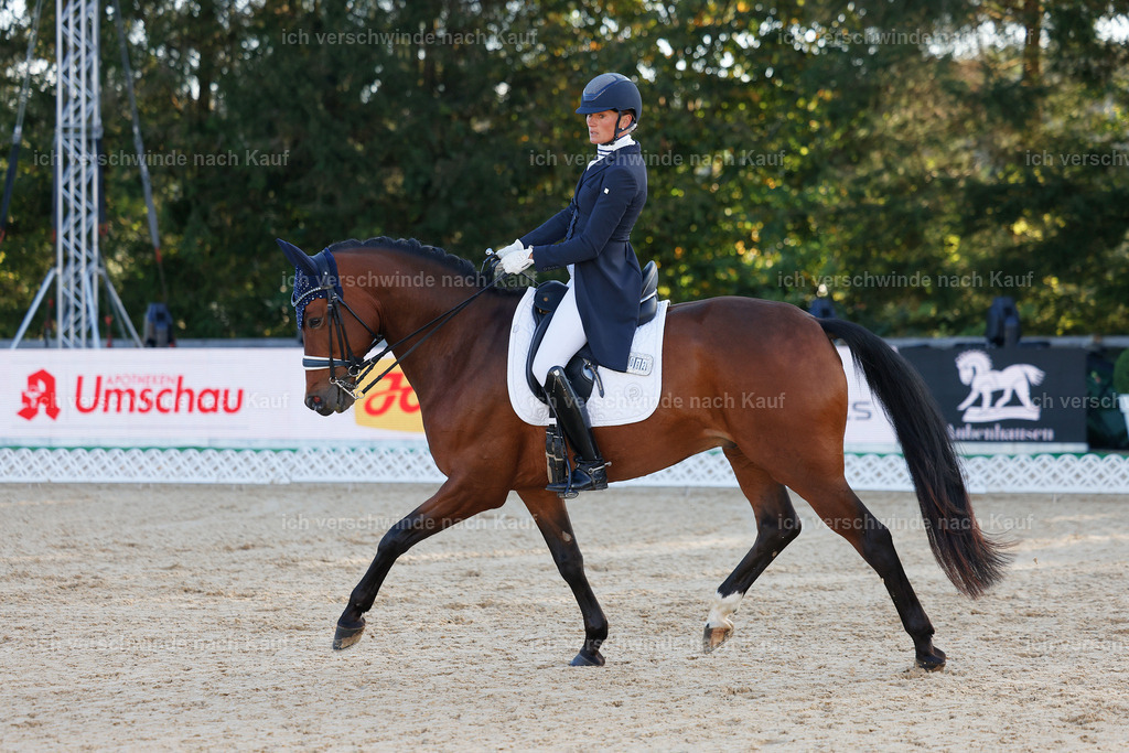 09_1-082-DRESSUR  S_  -StoibPH-5456 | working equitationturnier fotograf videograf stoibphotography marixx film working equitation deutschland reitsport turnierfotografie eventfotografie equestrian events