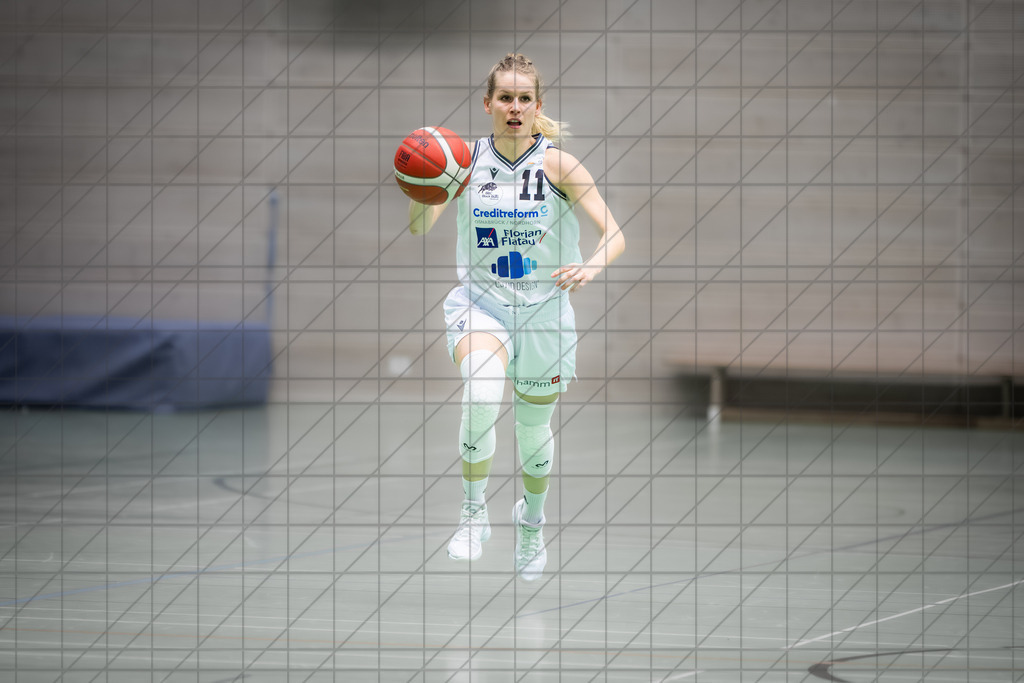 2. DBBL Nord 25/26 | Spieltag 08 | BBC Osnabrück vs. LionPride Braunschweig | 16.11.25: 2. DBBL Nord 25/26 | Spieltag 08 | BBC Osnabrück vs. LionPride Braunschweig / Osnabrück / Deutschland  //   CREDIT:www.bullenfotos.de, Martin König, Hörner Weg 40, D-49078 Osnabrück, +4917663732967 // Nutzung und Weitergabe nur zu den vereinbarten Zwecken. Presseanfragen an Ersteller. Alle Rechte beim Ersteller. Honorierung nach MFM. - Realisiert mit Pictrs.com