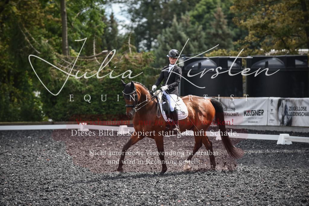 DSC_4753 | Pferde- und Turnierfotografie in Westsachsen. Pferdeportraits, Auftragszeichnungen und intuitive Kunst.
