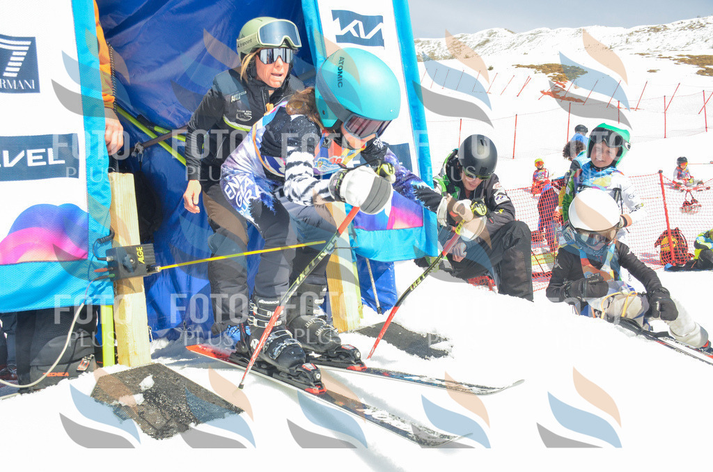 _ELE6146 | holidayphoto