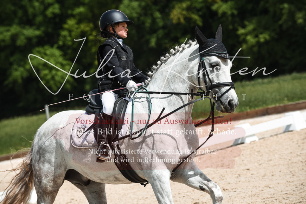 20230518_JK-Röhrsdorf-11-0496 | Pferde- und Turnierfotografie in Westsachsen. Pferdeportraits, Auftragszeichnungen und intuitive Kunst.