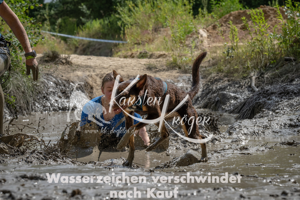 1527_ZZ90216 | kk-dogfotos