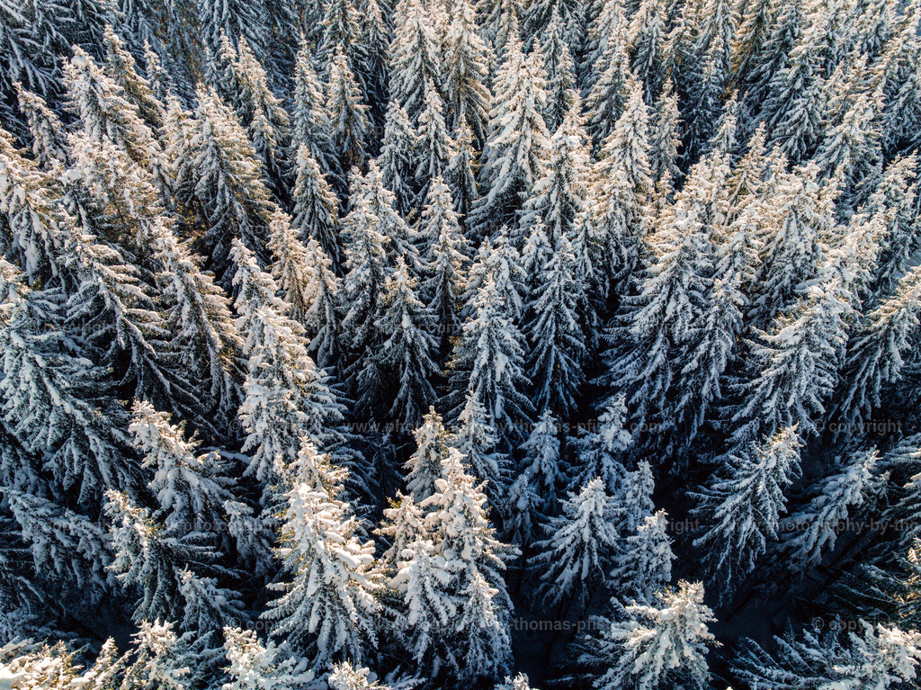 Vorderlanersbach Winter copyright  Thomas Pfister-4 | PHOTOGRAPHY BY THOMAS PFISTER