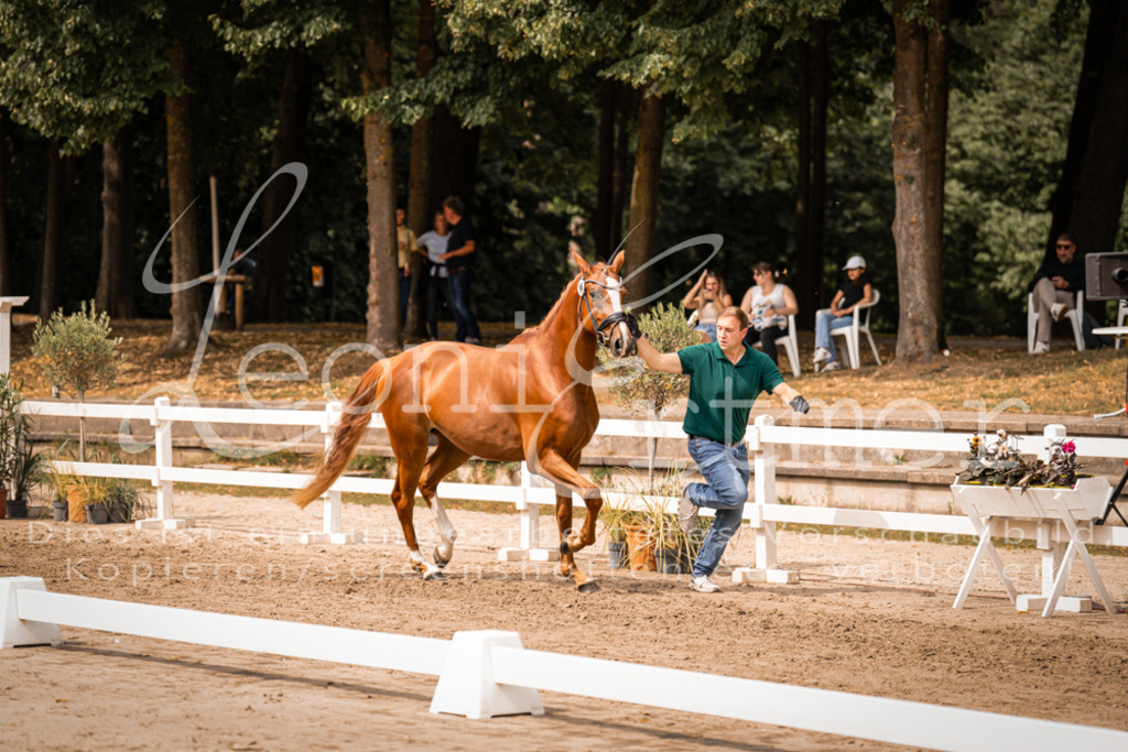 5.Fr00097 | Leoni Ertmer Photography - Realisiert mit Pictrs.com