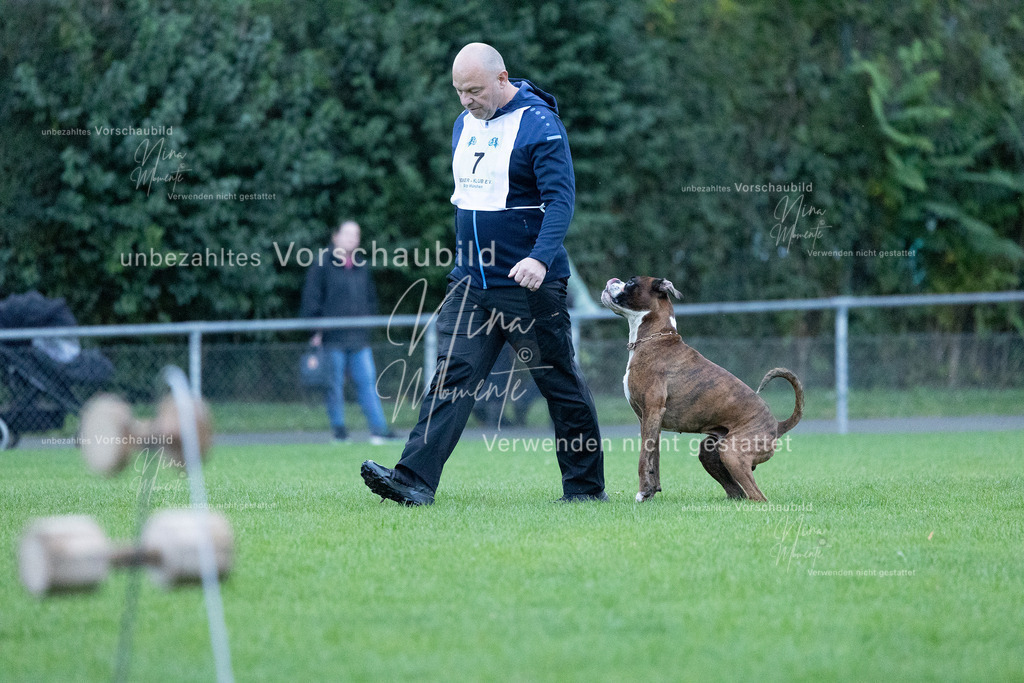 _16A4404 | Einzigartige Fotos von Hunden & Menschen –Actionfotos, Portraits, Vereinsaufnahmen & Paarshootings – authentisch, lebendig & mit Herz.
