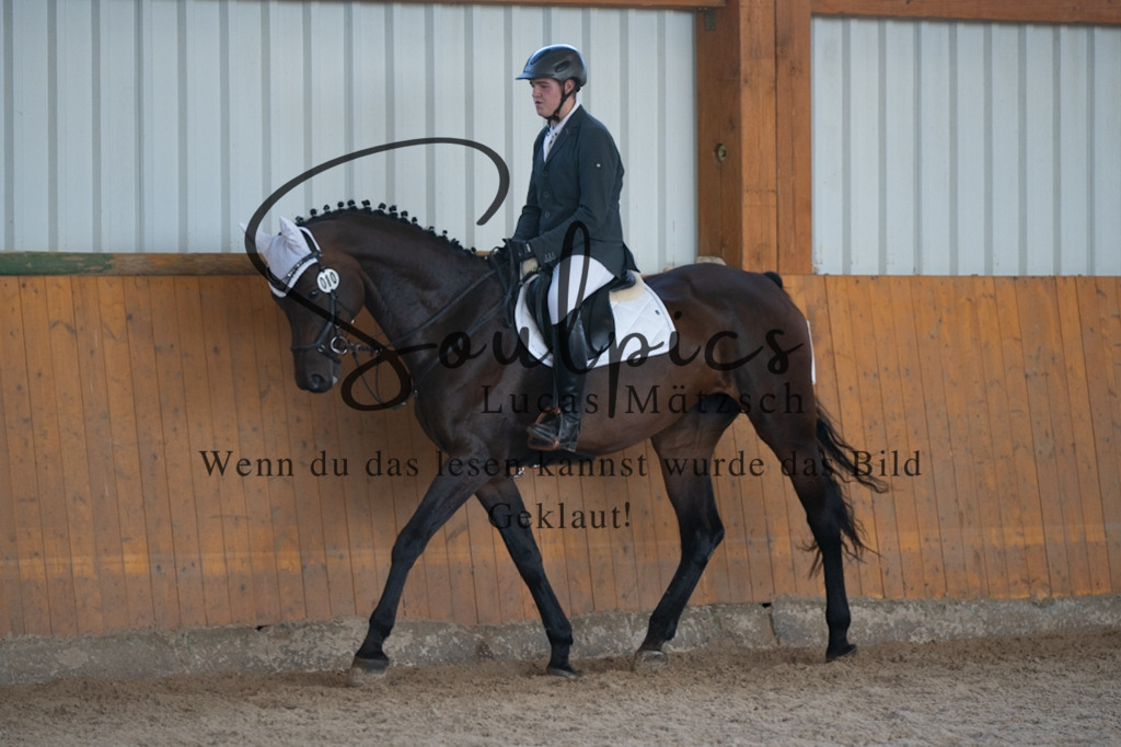 A7V02181 | Turnier/Reitfotograf