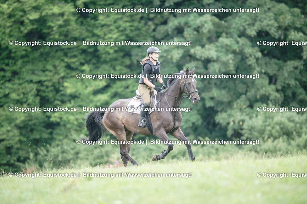 20250726_Vielseitigkeitslehrgang-Marbach_0462 | Foto: Thomas Hartig