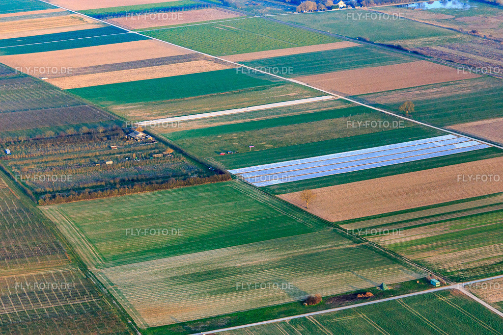 Plantage Eier-Meyer | Luftbild: Plantage Eier-Meyer im Ortsteil Mühlhofen in Billigheim-Ingenheim im Bundesland Rheinland-Pfalz in Deutschland. Foto: IMG_145589.jpg vom 08.03.2025 durch ©2025 Werner Riehm fly-foto.de/copyright - Realisiert mit Pictrs.com