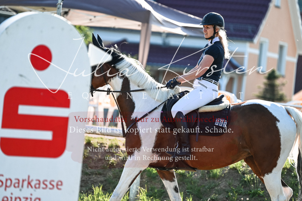 DSC_2841 | Pferde- und Turnierfotografie in Westsachsen. Pferdeportraits, Auftragszeichnungen und intuitive Kunst.