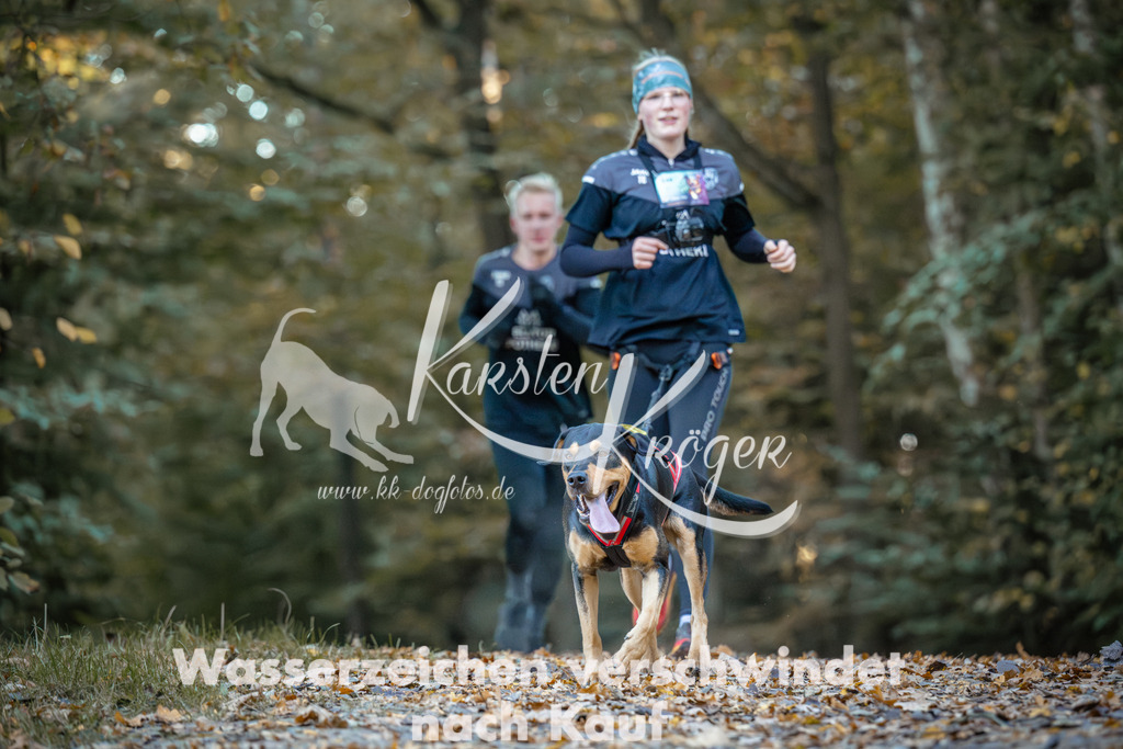 0900_ZZ96813 | kk-dogfotos