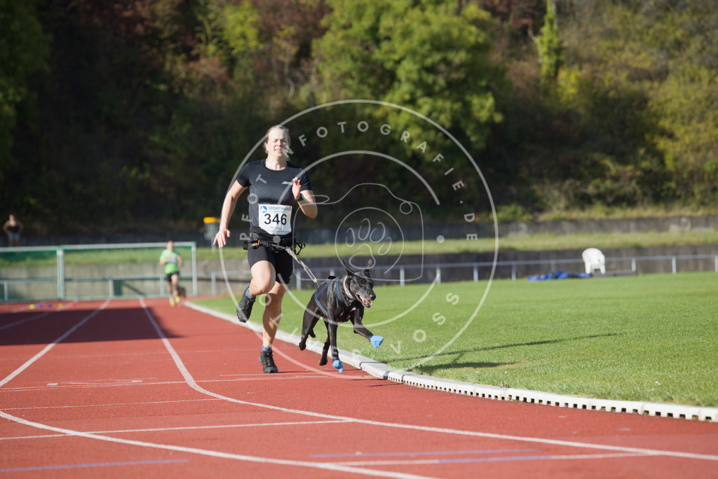 0L8A9448 | Hundefotografie, Tierfotograf, Pfotenfotografie, Fotoshooting Hund, Hunde Portrait, Hundesport, Hundeportraits, Heideshooting, Hunde, Sportfotograf, Hundefotograf, Turnierhundsport, THS,  - Realisiert mit Pictrs.com