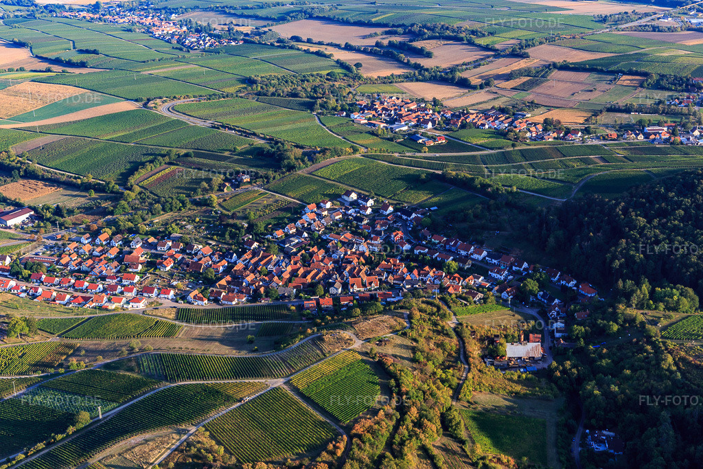 Luftbild: Ortsansicht von Nordwesten im Ortsteil Gleishorbach in Gleiszellen-Gleishorbach im Bundesland Rheinland-Pfalz in Deutschland. Foto: IMG_123225.jpg vom 30.09.2020 durch Werner Riehm/FLY-FOTO.de