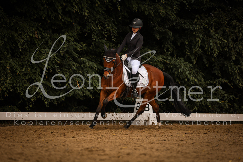 DoDrE00328 | Leoni Ertmer Photography - Realisiert mit Pictrs.com