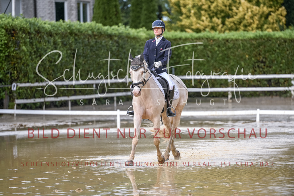 Schugtsche-Aluta25-54.Dressurprf.L1Trense-114 | Schugtsche Fotografie - Realizzato con Pictrs.com