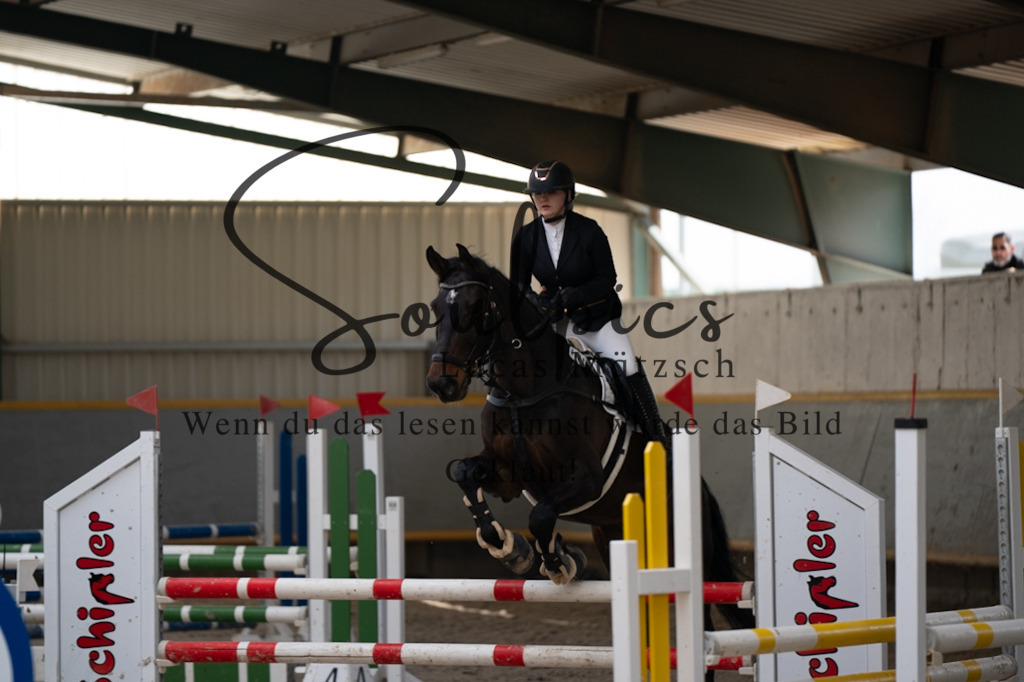 A7V08073 | Pferdefotograf