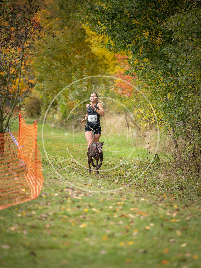 Pfotenfotografie_DV3A2374 | Hundefotografie, Tierfotograf, Pfotenfotografie, Fotoshooting Hund, Hunde Portrait, Hundesport, Hundeportraits, Heideshooting, Hunde, Sportfotograf, Hundefotograf, Turnierhundsport, THS,  - Realisiert mit Pictrs.com