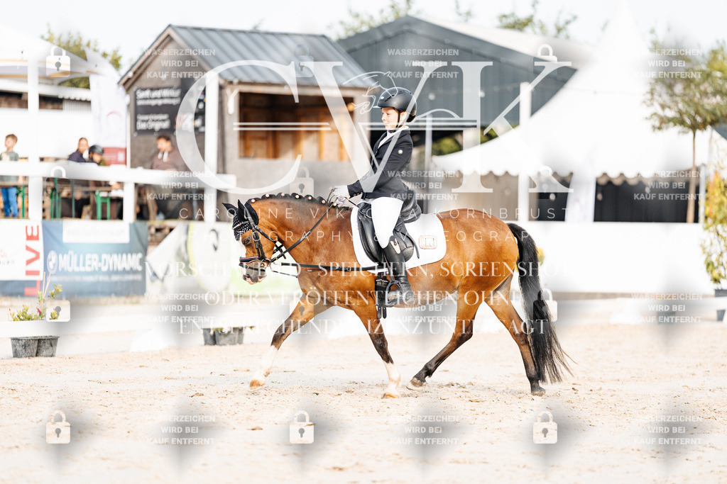 CK904299 | Turnierfotografie Pferdefotografie Trier Rheinland-Pfalz Pferdesport Reitsport Tierfotografie Sportfotografie Pferdevideo Pferdevideografie Equestrianvideography equestrianphotography  - Realisiert mit Pictrs.com