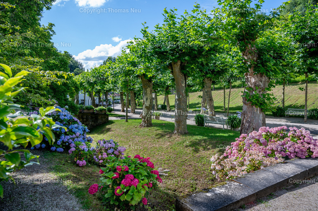 DSC_2573 | Der Staatspark Fürstenlager in Bensheim Auerbach, an der hessischen Bergstraße- ist ein wunderschöner Landschaftspark nach englischen Vorbild. Es war die Sommerresidenz der Darmstädter Fürstenfamilie die hier das "einfache Landleben" genossen. Zu jeder Jahreszeit kann man das Fürstenlager als Ausflugsziel empfehlen. Im Herrenhaus ist eine Gastronomie untergebracht. Im Sommer findet auf der Bühne vor der großen Wiese ein Opern-Air statt, 