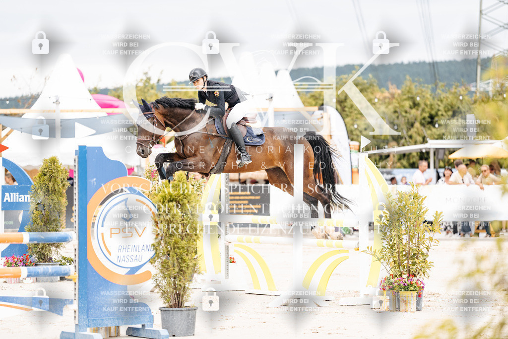 CK906198 | Turnierfotografie Pferdefotografie Trier Rheinland-Pfalz Pferdesport Reitsport Tierfotografie Sportfotografie Pferdevideo Pferdevideografie Equestrianvideography equestrianphotography  - Realisiert mit Pictrs.com