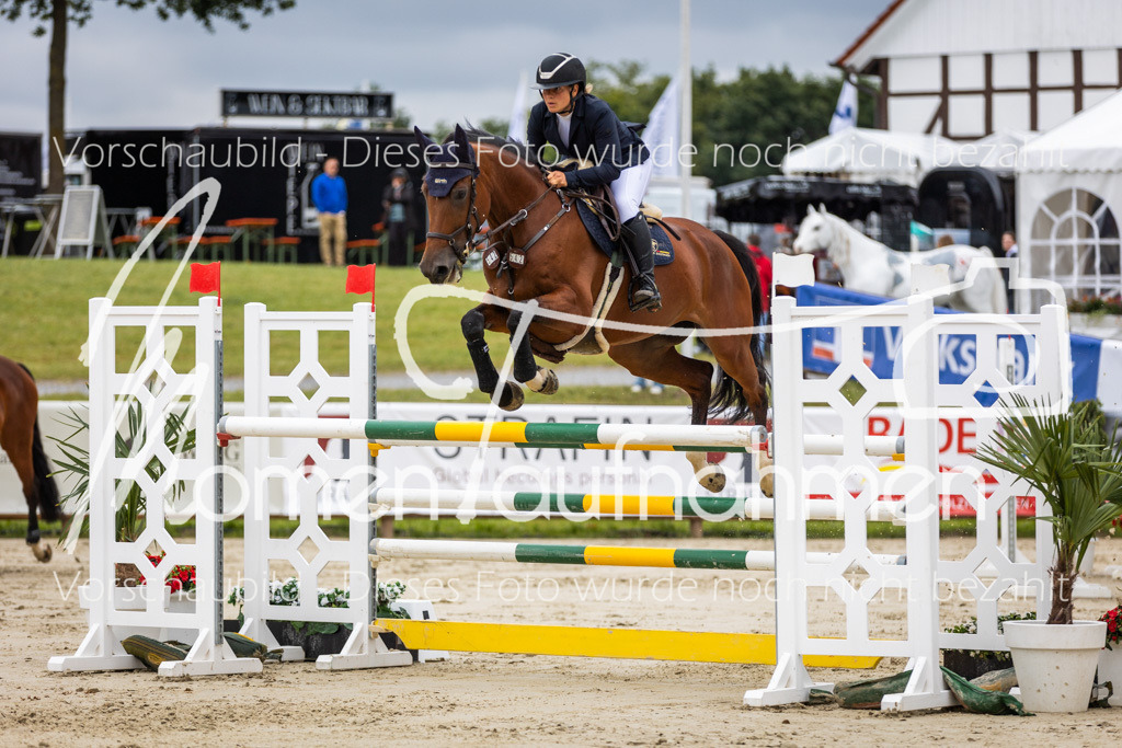 BHO-2PhSpr-M-5-2283 | MomenTaufnahmen Pferdesportfotos