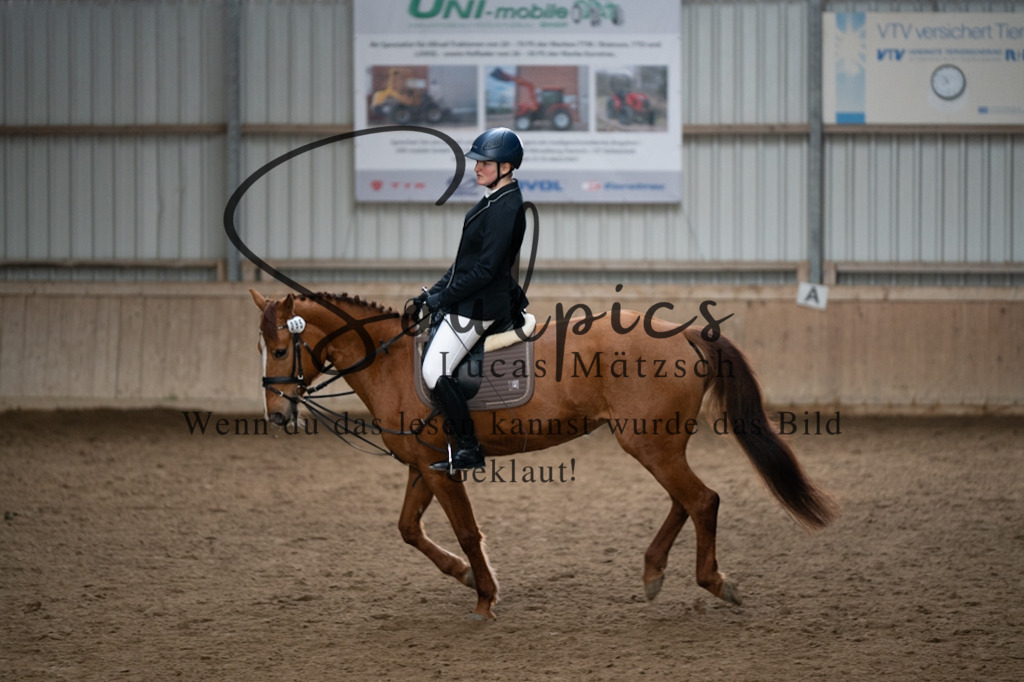 A7V04989 | Pferdefotograf