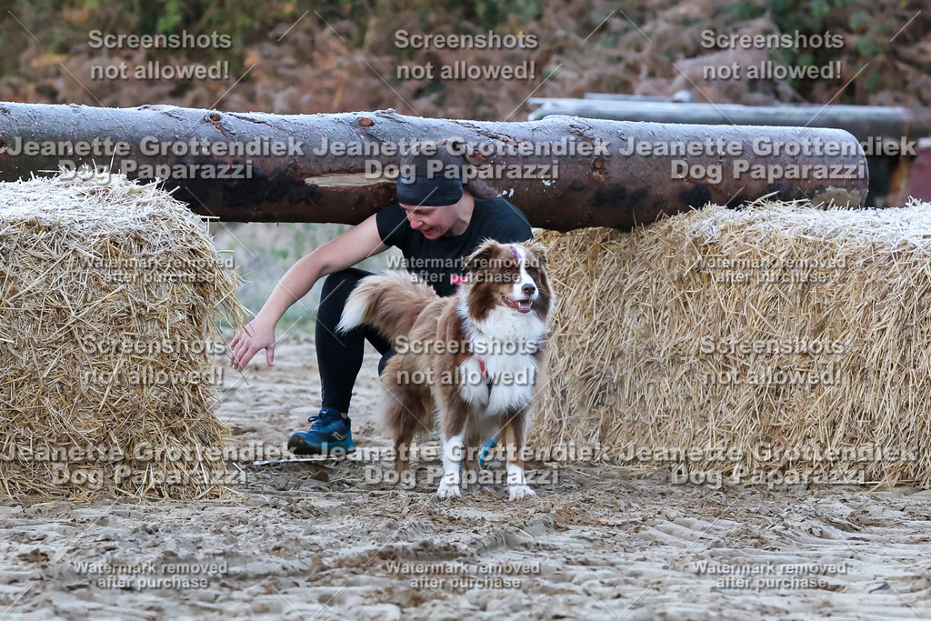 Dog Paparazzi - Strongdog 10-25-44 | Dog Paparazzi Jeanette Grottendiek Fotografie & Videografie - Realisiert mit Pictrs.com