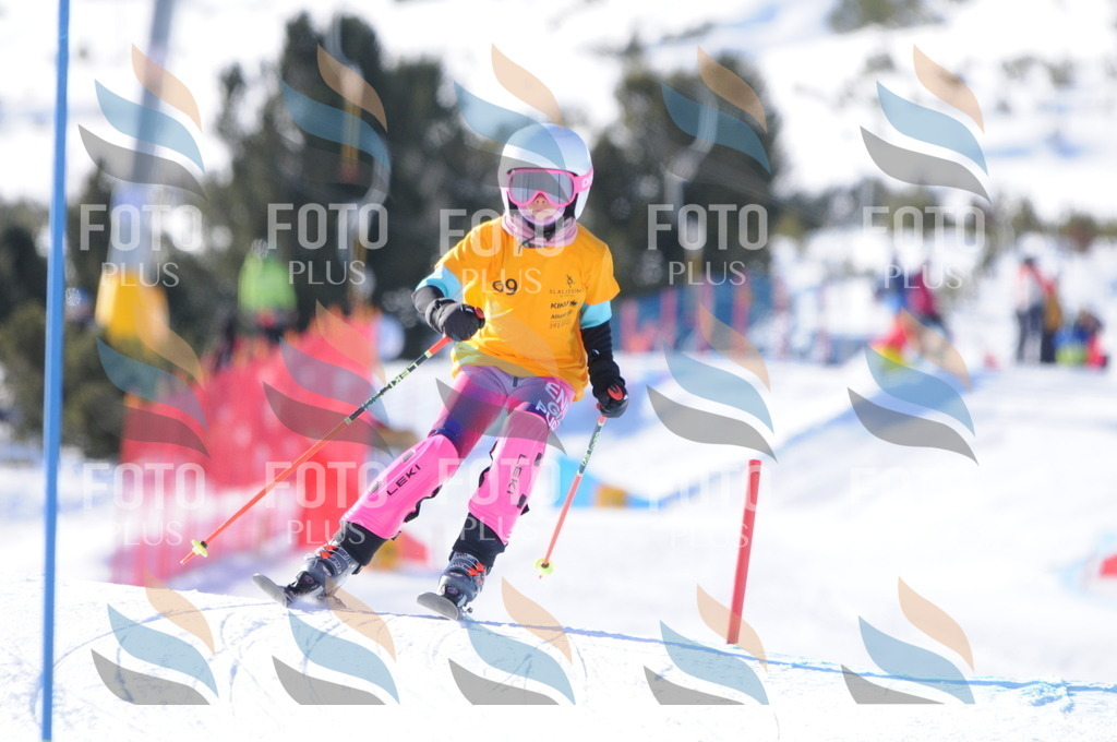 C6941 | holidayphoto