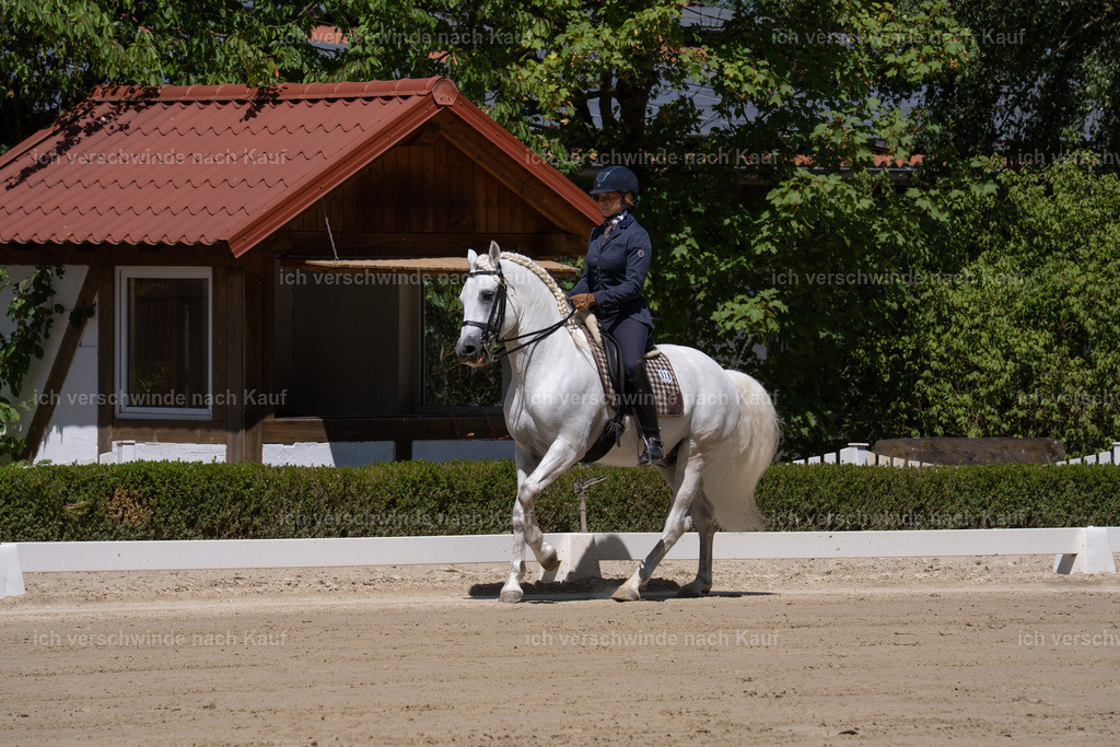 WS_DR_28_sinafilmart_IN08344 | working equitationturnier fotograf videograf stoibphotography marixx film working equitation deutschland reitsport turnierfotografie eventfotografie equestrian events