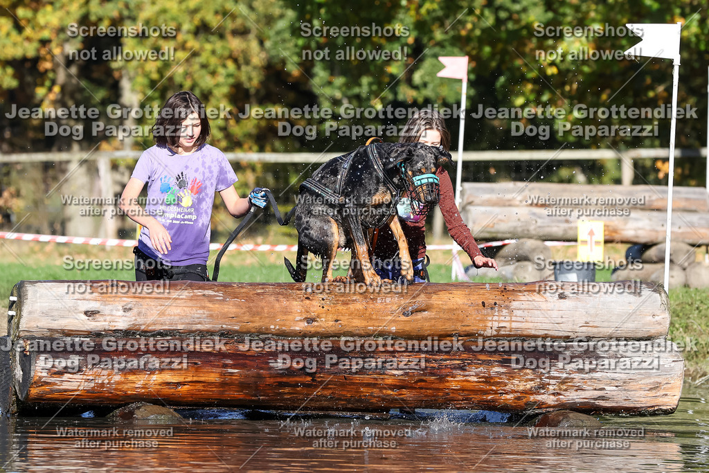 Dog Paparazzi - Strongdog 10-25-8924 | Dog Paparazzi Jeanette Grottendiek Fotografie & Videografie - Realisiert mit Pictrs.com