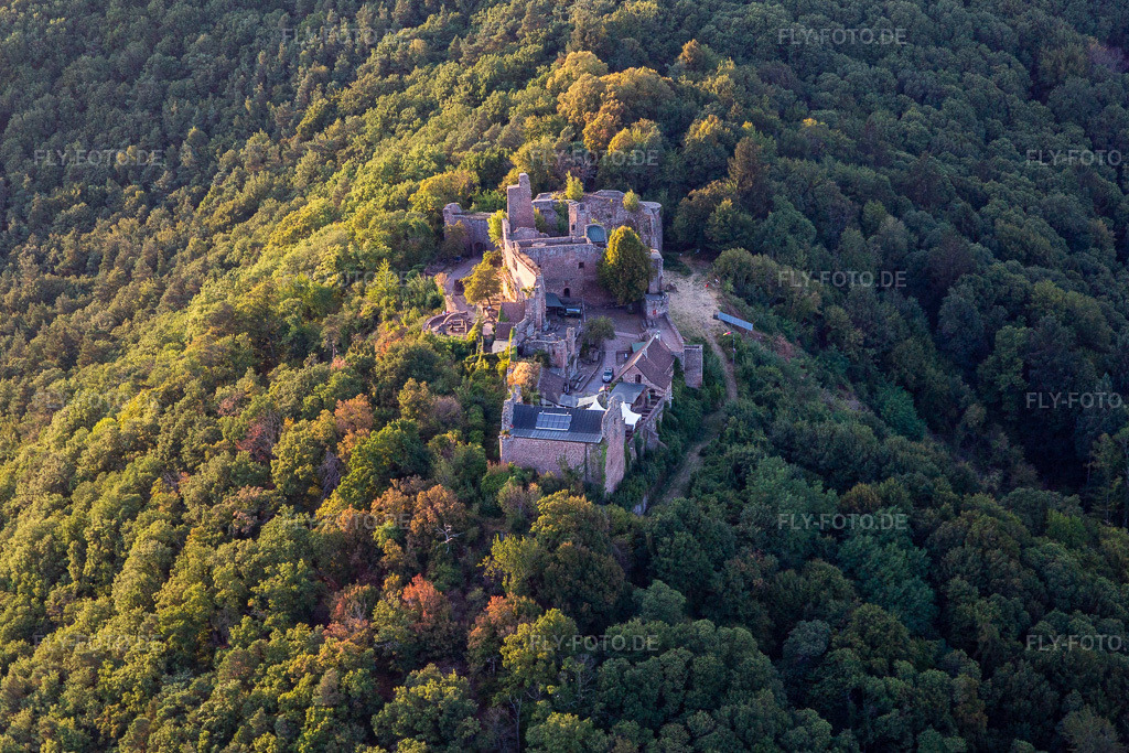 Luftbild: Madenburg in Eschbach im Bundesland Rheinland-Pfalz in Deutschland. Foto: IMG_134222.jpg vom 28.08.2022 durch Werner Riehm/FLY-FOTO.deMadenburg